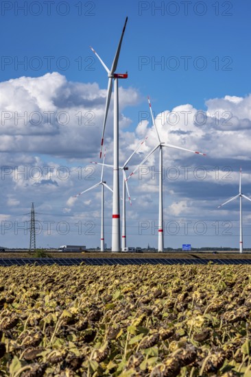 86, 5 MW peak ground-mounted photovoltaic systems, from RWE, with over 141, 000 solar modules, on a
