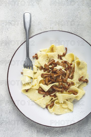 Pasta papardelle, in creamy garlic sauce, with mushrooms, traditional Italian cuisine, pasta