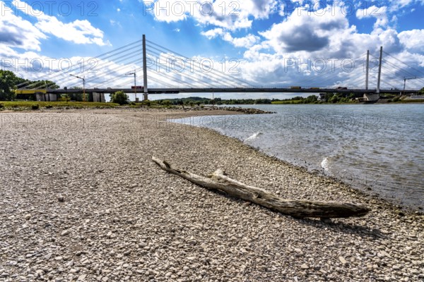 Rhine near Duisburg, low water, Rhine level, the right bank of the Rhine, near Duisburg-Neuenkamp,