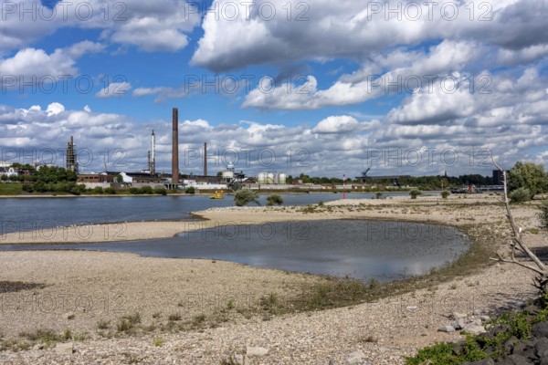 Rhine near Duisburg, low water, Rhine level, the right bank of the Rhine, near Duisburg-Neuenkamp,