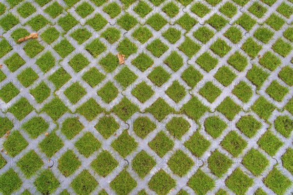 Lawn pavers, made of concrete, instead of completely sealing an area with paving stones, concrete