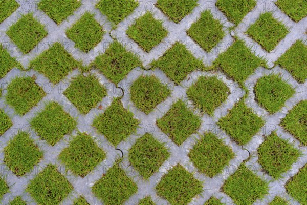 Lawn pavers, made of concrete, instead of completely sealing an area with paving stones, concrete