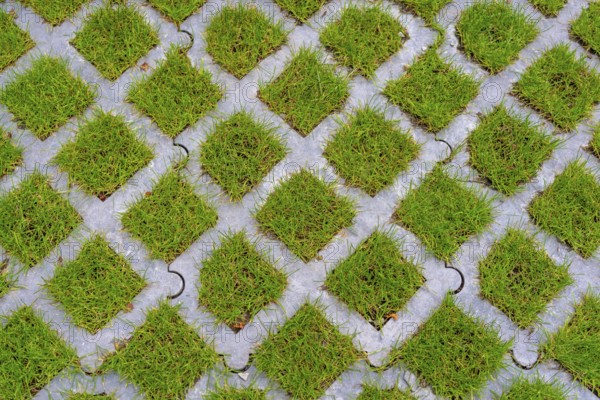 Lawn pavers, made of concrete, instead of completely sealing an area with paving stones, concrete