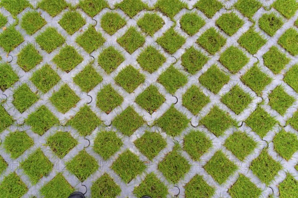 Lawn pavers, made of concrete, instead of completely sealing an area with paving stones, concrete