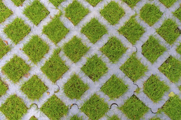 Lawn pavers, made of concrete, instead of completely sealing an area with paving stones, concrete