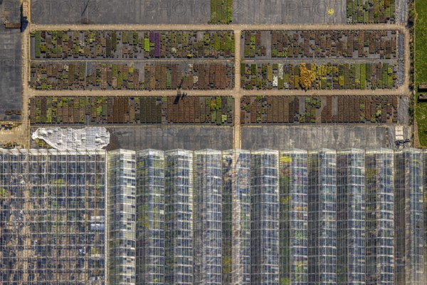 Aerial view, horticultural business Heutinck Pflanzen GmbH, greenhouse roof and flower bed, shapes