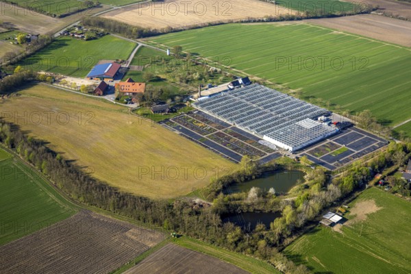 Aerial view, horticultural business Heutinck Pflanzen GmbH, greenhouse and flower bed, Südkirchen,