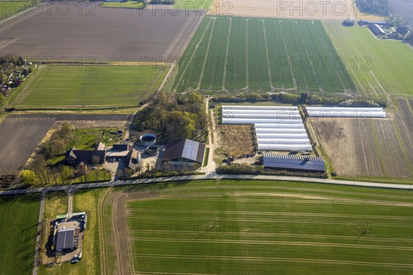Aerial view, agricultural farm and greenhouses, Capelle, Nordkirchen, Münsterland, North
