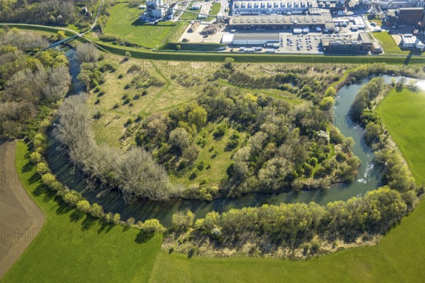 Aerial view, river Lippe meander with bulb field landscape conservation area at Remondis Lippewerk