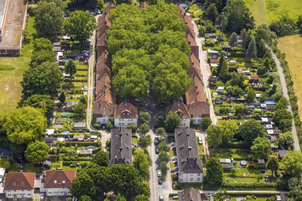 Aerial view, housing estate settlement Teutoburgia miners' settlement with group of trees in the