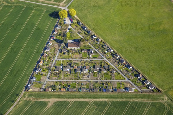 Aerial view, triangular allotment garden association Grüne Insel, Alstedde, Lünen, Ruhr area, North