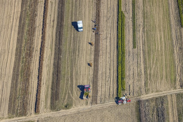 Aerial view, agricultural field work with tractor and manual labour, Würdinghausen, Kirchhundem,