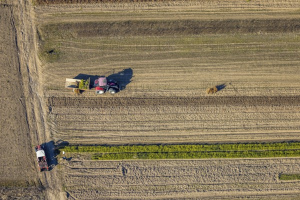 Aerial view, agricultural field work with tractor and manual labour, Würdinghausen, Kirchhundem,