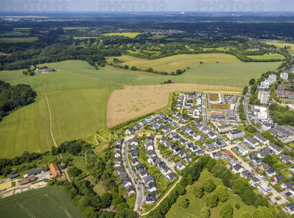 Aerial view, island settlement with Borkumstraße, Syltweg and meadows and fields, Heiligenhaus,