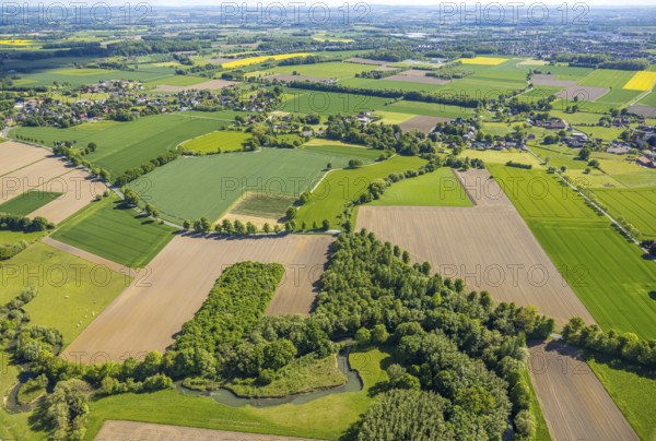 Aerial view, Gravenkamp area with meadows and fields, river Ahse, Uentrop, Hamm, Ruhr area, North
