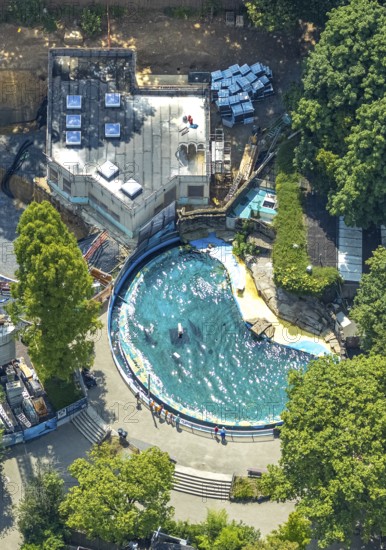 Aerial view, Duisburg Zoo, sea lion enclosure and construction site with modernisation and