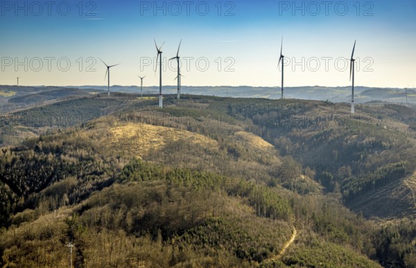 Aerial view, Schlossberg Hohenlimburg, forest area with forest damage and wind turbines,