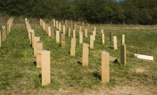 The Installation AUFFORSTUNG, REFORESTATION by Matthias Block, 12th international wind art festival