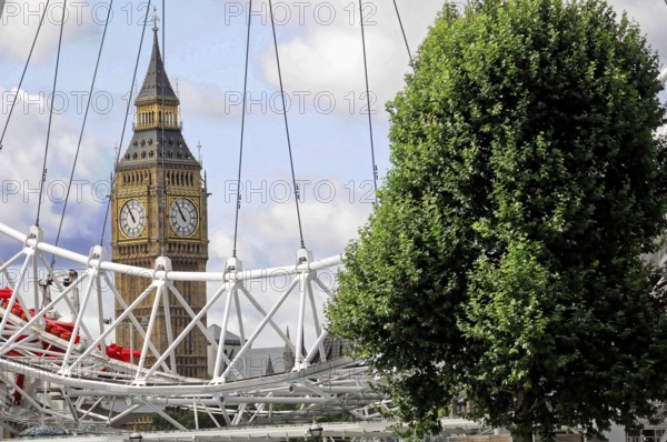 Big Ben and the London Eye behind a large tree and ropes, under a cloudy sky, London, England,