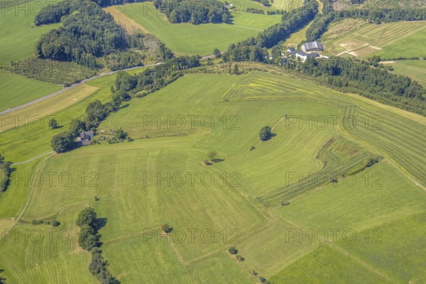 Aerial view, meadows and fields with single trees, CVJM Kierspe e.V., Thal, LSG landscape