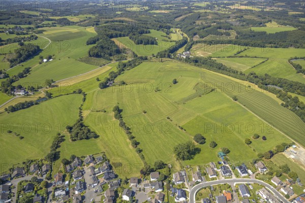 Aerial view, meadows and fields with single trees, CVJM Kierspe e.V., Thal, LSG landscape