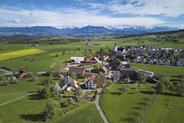 Village view with field of flowering rape, behind the Rigi and the snow-covered Alps, Beinwil,