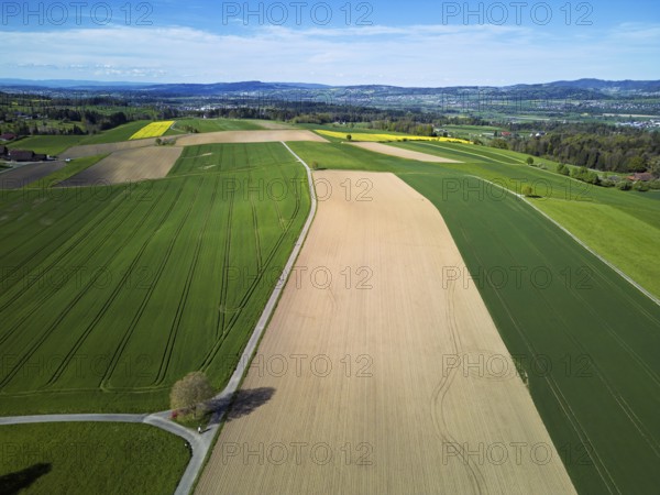 Agricultural arable land and meadows in the hamlet of Winterschwil, Beinwil, Freiamt, Canton,