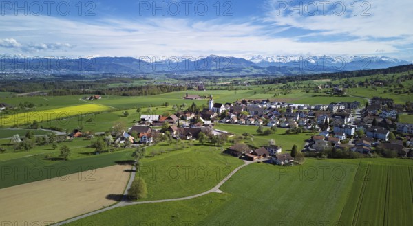 Village view with field of flowering rape, behind the Rigi and the snow-covered Alps, Beinwil,