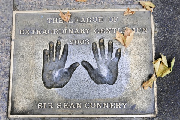 Plaque with handprints and corresponding inscription on a street with autumn leaves, London,
