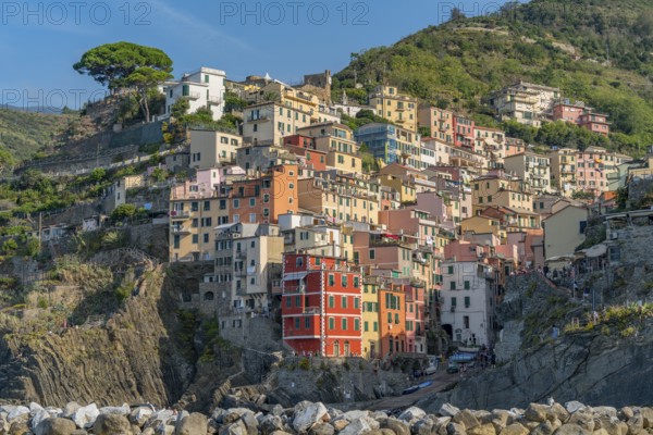 Scenery around Riomaggiore, a village at a coastal area named Cinque Terre in Liguria, located in