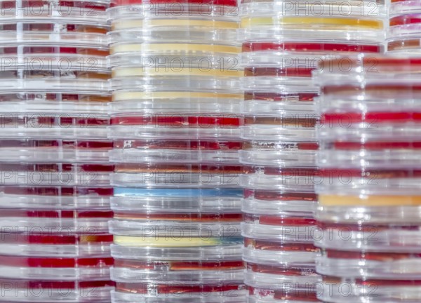 Full frame abstract shot showing lots of stacked petri dishes filled with colorful agar growth