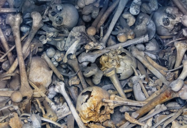 Lots of human bones from fallen soldiers seen at the Douaumont Ossuary, a memorial located near