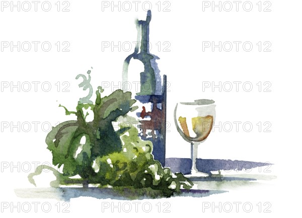 Watercolor illustration of a green wine grape with leaves and wine bottle in white back