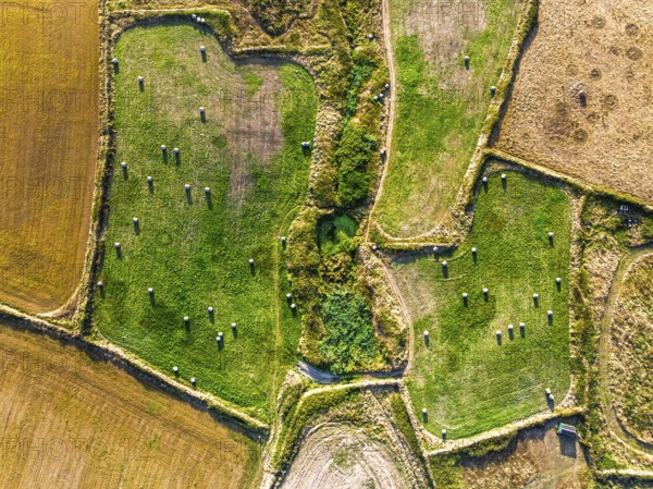 Top Down view over Cornwall fields and farms from a drone, Lizard Peninsula, South West Coast Path,