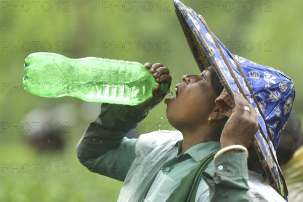 Agartala, Tripura, India, 17-07-2025: A tea garden worker drinks water while she working in a tea