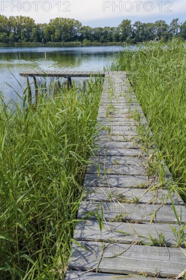 Wooden jetty at the Gantikow bathing lake, Kyritz, Brandenburg, Germany