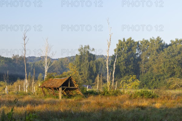 Dilapidated wooden hut in the moor, wet meadow, dead trees, Pfrunger-Burgweiler Ried,
