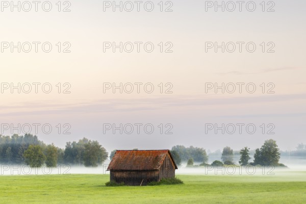 Wooden hut in wet meadow, fog, birch, birch family (Betulaceae), Wilhelmsdorf, Pfrunger-Burgweiler