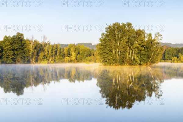 Nillsee, moorland lake, birch trees on an island, birch trees (Betula), birch family (Betulaceae),