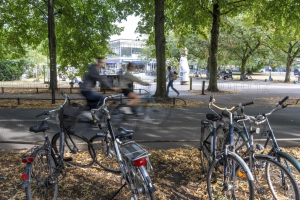 Cycle traffic in Münster, Promenade cycle path, tree-lined, car-free, approximately 4.5 km long
