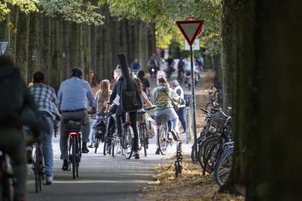 Cycle traffic in Münster, Promenade cycle path, tree-lined, car-free, approximately 4.5 km long