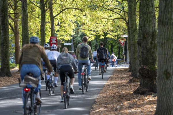Cycle traffic in Münster, Promenade cycle path, tree-lined, car-free, approximately 4.5 km long