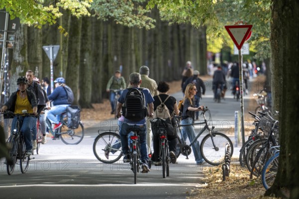 Cycle traffic in Münster, Promenade cycle path, tree-lined, car-free, approximately 4.5 km long
