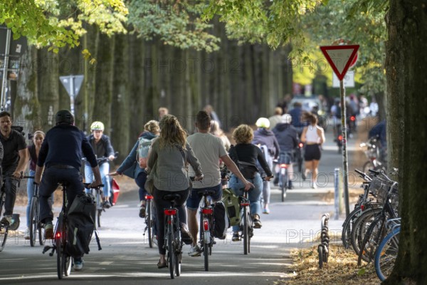 Cycle traffic in Münster, Promenade cycle path, tree-lined, car-free, approximately 4.5 km long