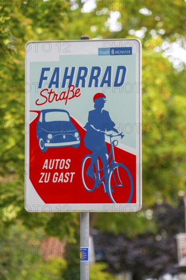 Cycling in Münster, cycle lane, Goldstraße, red asphalt and pictograms indicate to motorists that