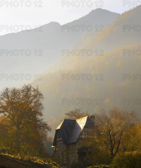 Beautiful Autumn Forest and an Old House and Mountain in the Swiss Alps and Sky with Sunlight in a