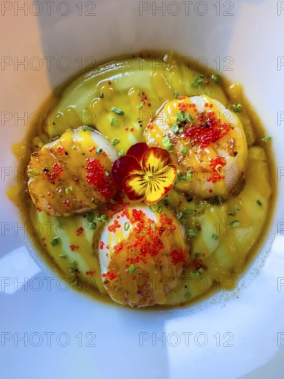 Grilled Saint-Jacques on a Mango and Passion Fruit Puree with Gorbuscha Salmon Roe Decorated with