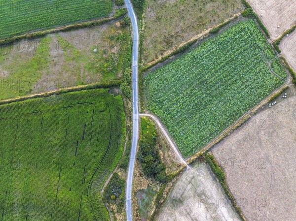 Top Down view over fields and farms from a drone, Kynance Cove, Mount's Bay, Lizard Point,