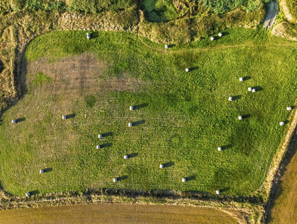 Top Down view over Cornwall fields and farms from a drone, Lizard Peninsula, South West Coast Path,