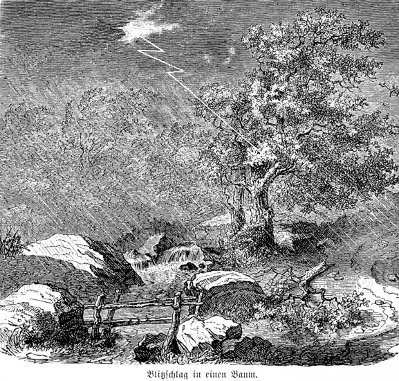 Lightning strike in a tree, lonely wild landscape, rain, storm, brook, rocks, inventions in the